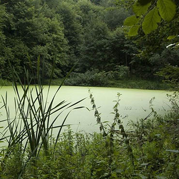 Žakýlske pleso